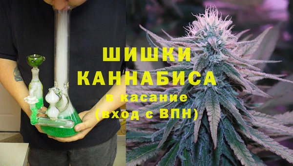 таблы Ельня