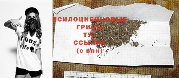 таблы Ельня