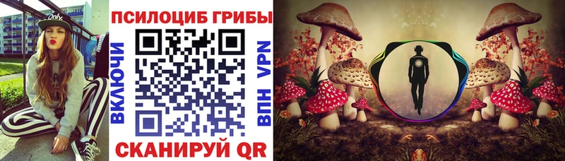 Псилоцибиновые грибы Psilocybine cubensis  Купить  Тихорецк 